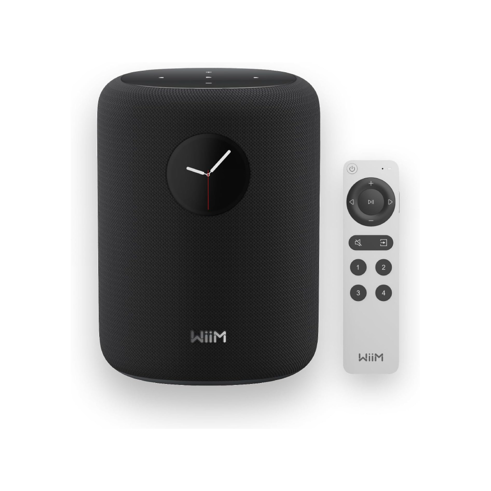 Умный динамик для качественного воспроизведения музыки. WiiM Sound